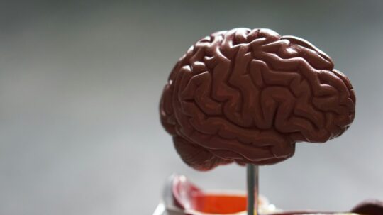 التسويق العصبي Neuromarketing وفهم انتباه وسلوك المستهلك
